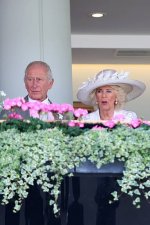 gettyimages-2221152074-612x612.jpg