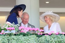 gettyimages-2221168051-612x612.jpg