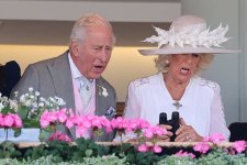 gettyimages-2221169747-612x612.jpg