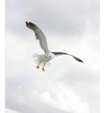 IMG_9157.jpeg