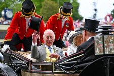 gettyimages-2221322120-612x612.jpg