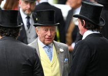 gettyimages-2221323520-612x612.jpg