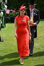 gettyimages-2221330792-612x612.jpg