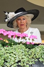 gettyimages-2221333888-612x612.jpg