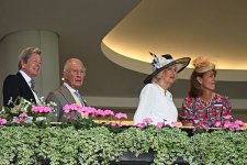 gettyimages-2221334659-612x612.jpg