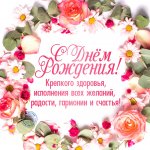 birthday-1101-608125879.jpg