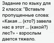IMG_3186.jpeg
