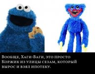66604572_original.jpg