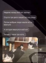1751228434.jpg