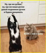 image (4709).png