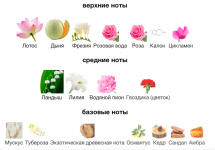 Снимок экрана 2025-07-01 в 15.44.43.png