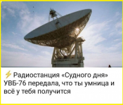 image (185).png
