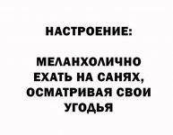 IMG_3261.jpeg