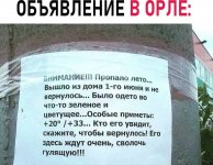 IMG_9255.jpeg