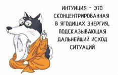 интуиция.jpg
