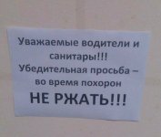 66865510_original.jpg