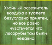 image (777).png