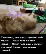 1751780085.jpg