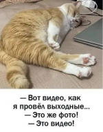 1751826384429.png