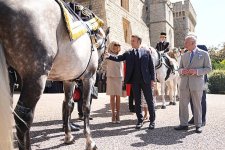 gettyimages-2223617149-612x612.jpg