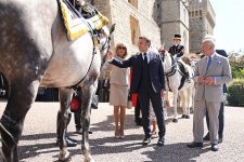 gettyimages-2223617195-612x612.jpg