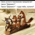 1752133689.jpg