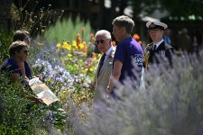 gettyimages-2223758602-612x612.jpg