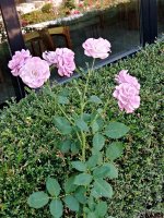 viber_изображение_2025-07-11_14-58-35-883.jpg