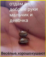 image (2468).png