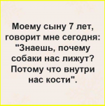 image (2668).png