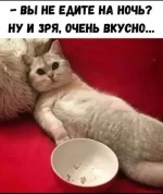 1752624407217.webp