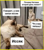 image (2899).png