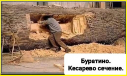 image (2995).png