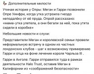 IMG_3699.jpeg