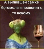 image (3059).png