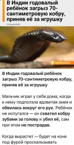 индия.jpg