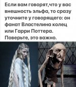 эльф.jpg