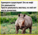 image (468).png