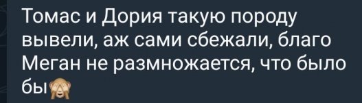 SmartSelect_20250805-200952_Telegram.jpg