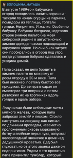 image (736).png