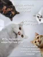 1754490078045.webp