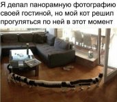 67950183_original.jpg