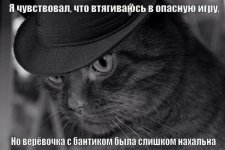 67950736_original.jpg