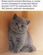 49c869be9a9eae936b073621e25d4214.jpg
