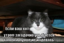 67acb16d30a4d2f94c834e3719fd78d8.jpg