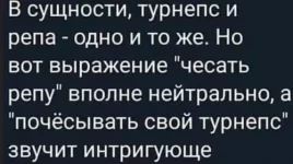 1754618440894.webp
