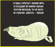 image (1190).png