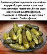 со.jpg