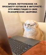 1754845935719.png