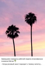 IMG_4016.jpeg
